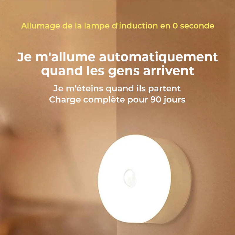 Body Induction Lamp (Motion sensor light)
